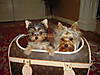 th_DSCN1004.jpg