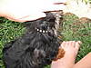 th_IMG_22051.jpg