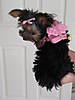 th_IMG_2539-1.jpg
