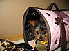 th_IMG_3033.jpg