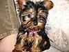 th_Zoey3Months.jpg