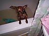the_flying_nun.JPG