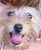 tiffy_silly_face.jpg