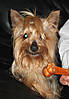 tobias_bone040506.jpg