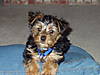 zeus_091.jpg