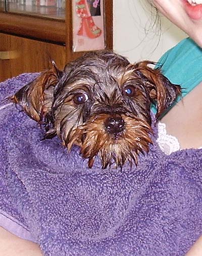 tobi_bath