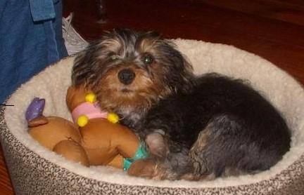 tootie1