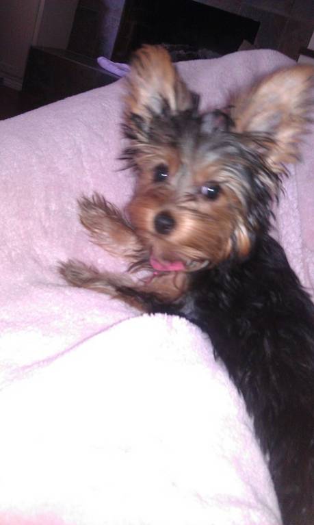 truff