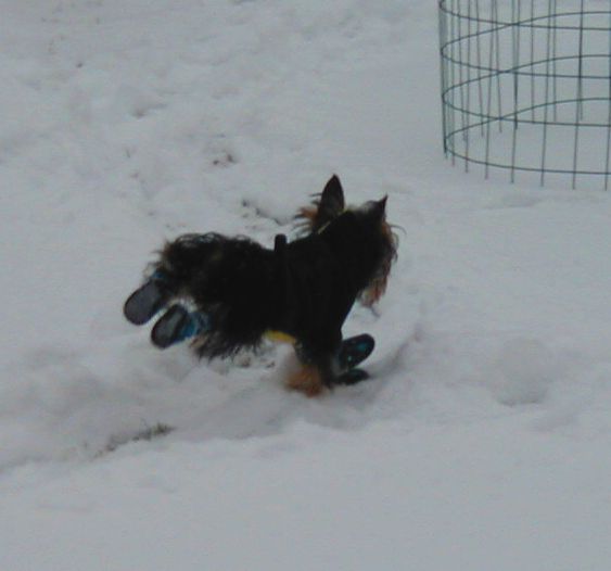 tucksno1