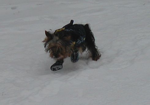 tucksno2