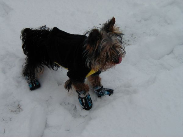 tucksno3