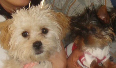 two_babies