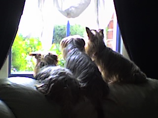 waiting_for_dad