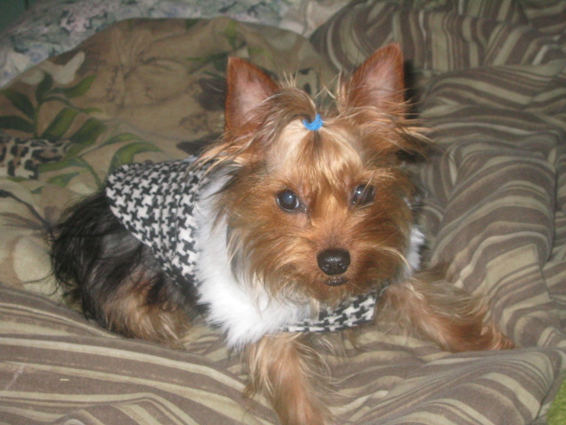 woody_090