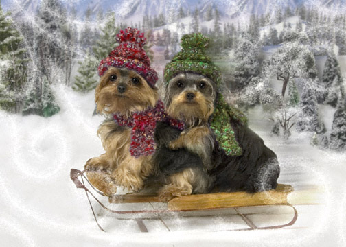 xmaskalchelpups08