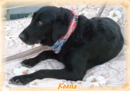 Keena_cutout_web