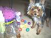 214Lexi_with_her_easter_gift_basket.jpg