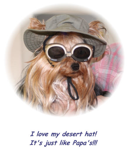 Toto_Desert_Hat_web