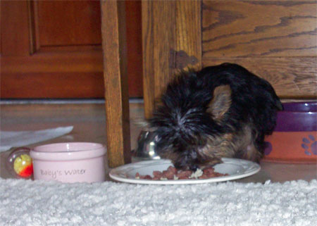 eating7------02