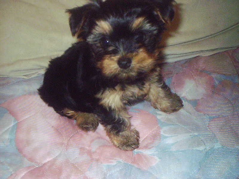2503maddy_7_weeks_003