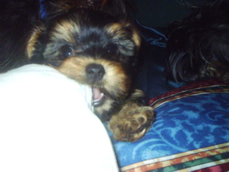 2503maddy_7_weeks_011