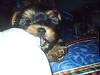 2503maddy_7_weeks_011.jpg