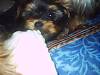 2503maddy_7_weeks_012.jpg