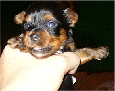 11-14-06_Autumn_boy