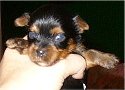 11-14-06_Autumn_boyb