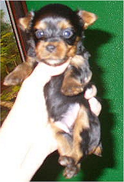 11-21-06_Autumn_s_little_boy_002