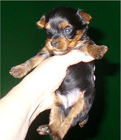11-21-06_Autumn_s_little_boy_004