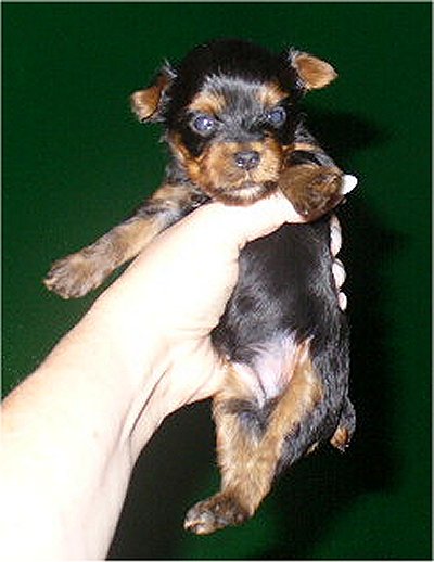 11-21-06_Autumn_s_little_boy_005