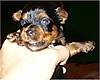 11-14-06_Autumn_boy.jpg