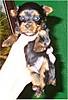 11-21-06_Autumn_s_little_boy_002.jpg