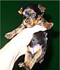 11-21-06_Autumn_s_little_boy_004.jpg