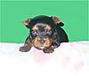 11-21-06_Autumn_s_little_boy_008.jpg