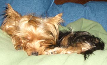 Finally_a_nap_