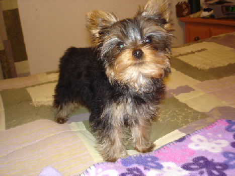 Duncan