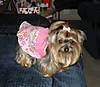 DSC000081.JPG