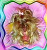 DSC00011Z.JPG