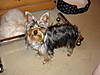 DSC00111Z.JPG