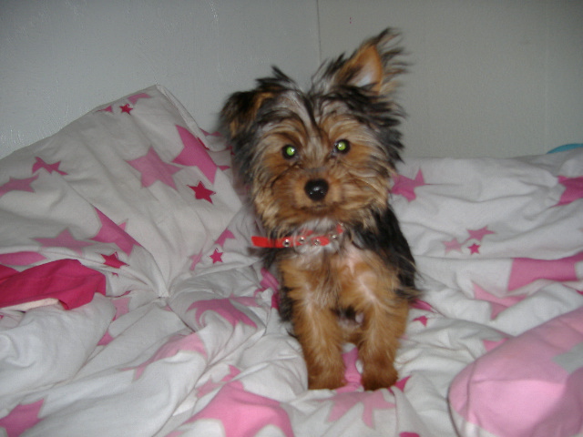 pix_166