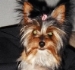 Alexis_Avatar