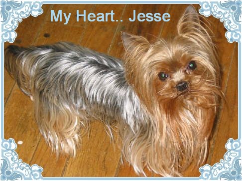 Jesse_3-22-04_1_with_frame1