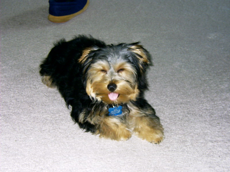 Daisy_012