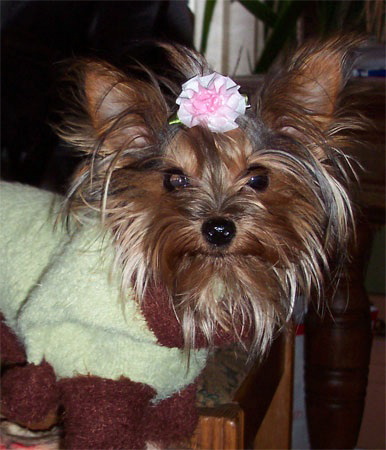 Cute_lil_rox