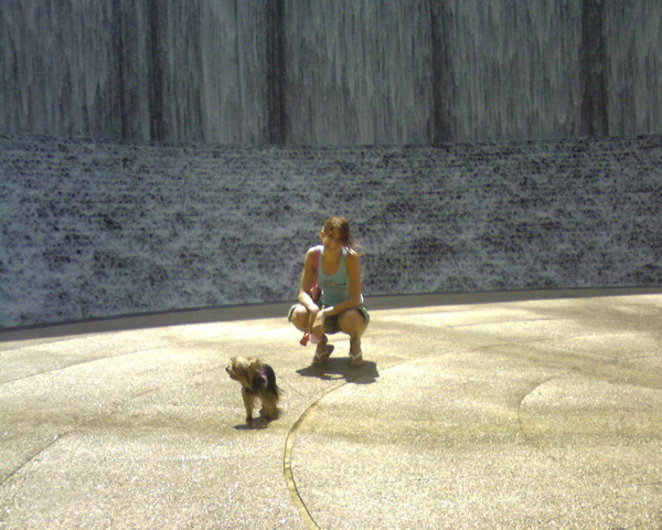 Waterwall