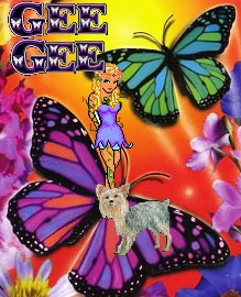 ggivys