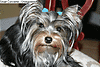 IMG_1084.gif