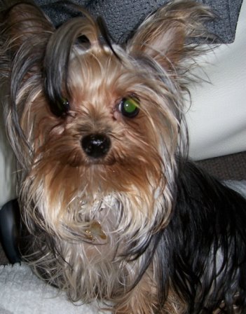 Maddie_1_3_06
